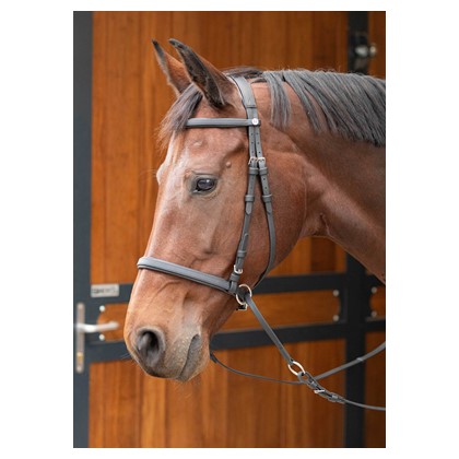 [280000675full] Bridon "Bitless"  Easy Care (Cheval)