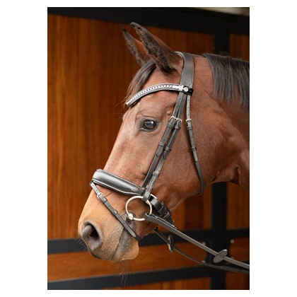 [280021705full] Bridon Allegro (Cheval)