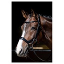 Bridon Anatomic Release