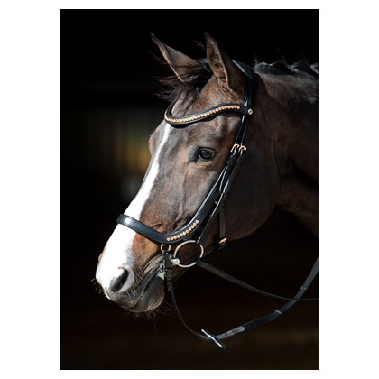 [280000515full] Bridon Anatomique Rosegold (Cheval)