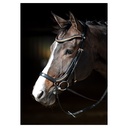 Bridon Anatomique Rosegold