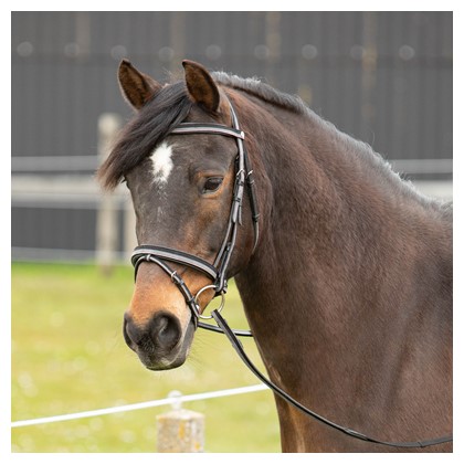 [280000604full] Bridon Two-Tone (Cheval)