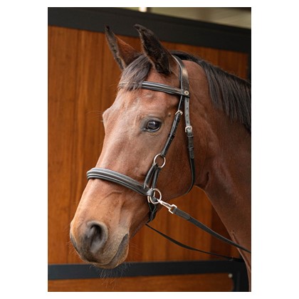 [280000265full] Bridon Bitless Sidepull (Cheval)
