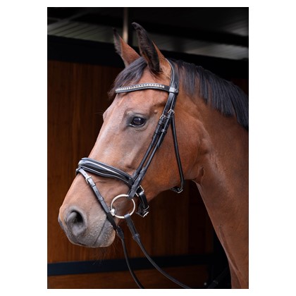 [280000685full] Bridon Boule Lacque (Cheval)