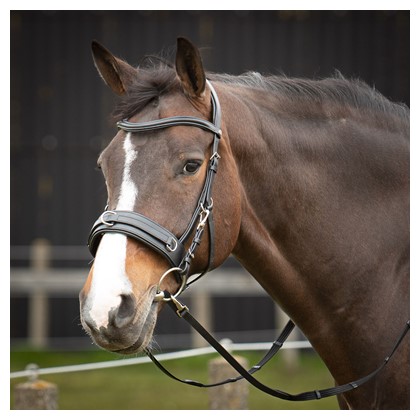[280081265full] Bridon Cavesson Cuir Confort (Cheval)