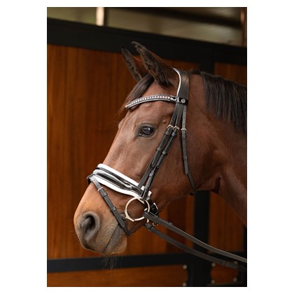 [280021643full] Bridon Chique (Brun, Cheval)