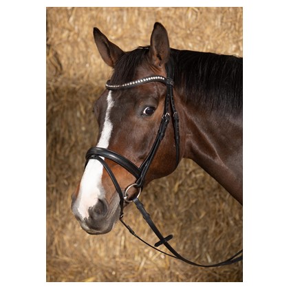 Bridon Nero soft