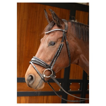 [28000044full] Bridon Rosegold Lacque II (Cheval)