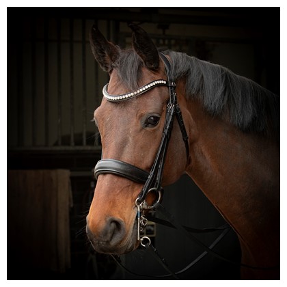 [280025225full] Bridon S&T Soft Crystal (Cheval)