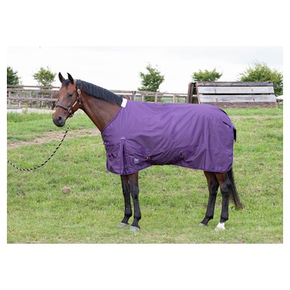 [3220659013215cm] Couverture de pluie Thor 100gr WI23