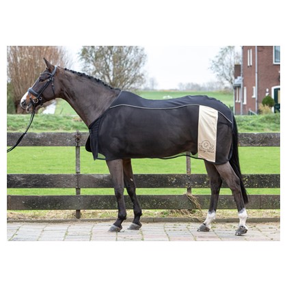 [322023905215cm] Couverture isotherme Mesh EQS Champagne