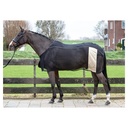 Couverture isotherme Mesh EQS Champagne