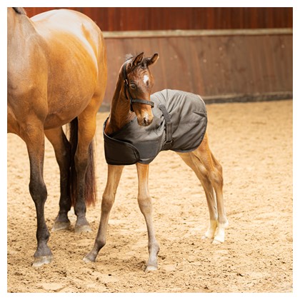 [32200599765] Couverture Poulain Stable (Marine)