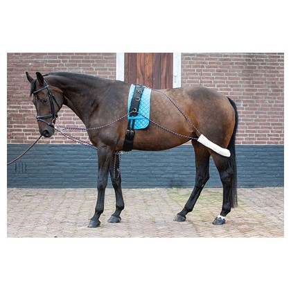 [28400070full] Enrênement d'aide à la longe (Cheval)