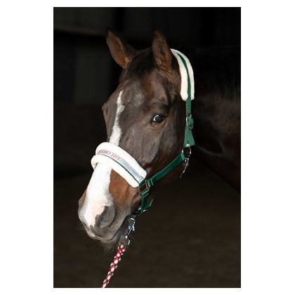 Ensemble licol Paroles Noël