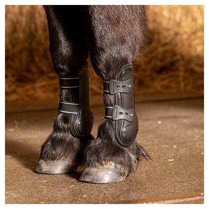 [332000085shetland] Guêtres Pinlock