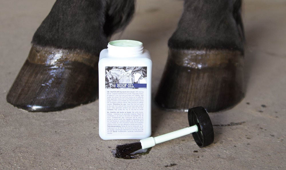 Huile pour sabots avec pinceau (500 ml)