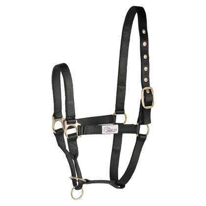 [310007005full] Licol controller (Cheval)