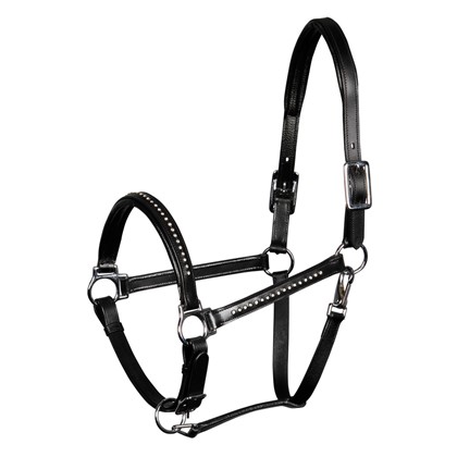 [285000235full] Licol cuir Finesse Crystal (Cheval)