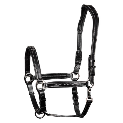 [285000013full] Licol cuir, padded, Supreme (Brun, Cheval)