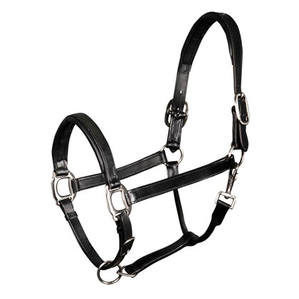 [285000003full] Licol cuir, padded (Brun, Cheval)