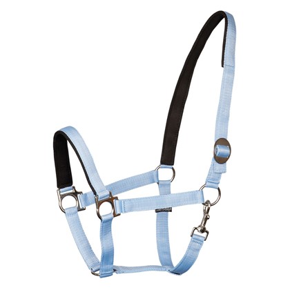 [3100091016full] Licol doublé (Bleu clair, Cheval)