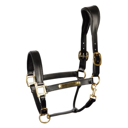[285000033full] Licol en cuir Anatomic (Brun, Cheval)