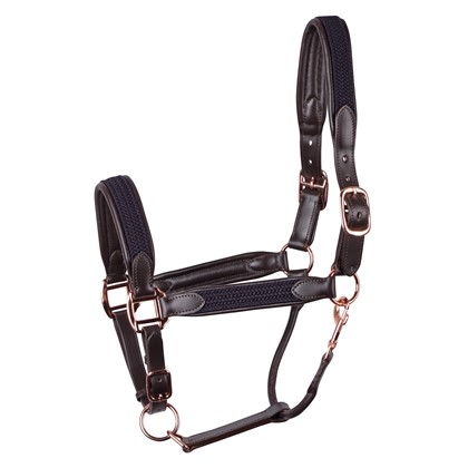 [285000043full] Licol en cuir Braided (Cheval)