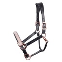 Licol en cuir Broadway