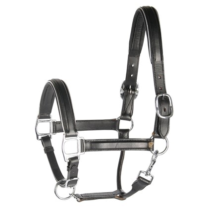[285000212full] Licol en cuir noir doublé or ou argent (Argenté, Cheval)