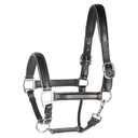 Licol en cuir noir doublé or ou argent