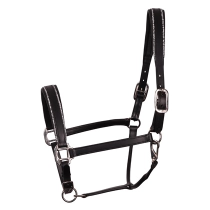 [285000535full] Licol en cuir Sparkle (Cheval)