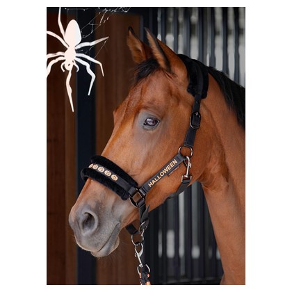[310000505full] Licol et longe Halloween (Cheval)
