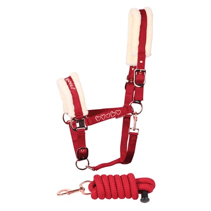 [310000522full] Licol et longe Love (Cheval)