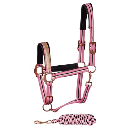 [3100001816full] Licou et longe Queen (Bleu clair, Cheval)