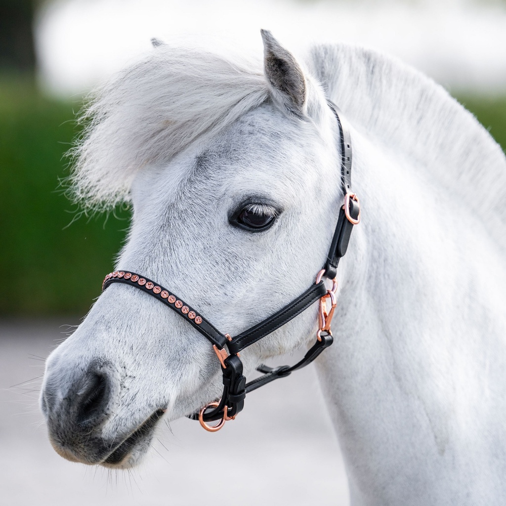 Licol en cuir noir poney/poulain Crystal