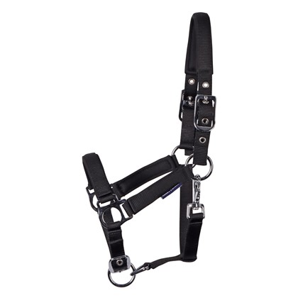 [310003047veulen] Licol Poulain Padded (Marine, Foal)