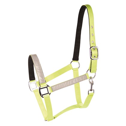 [31007000full] Licol réfléchissant (Cheval)