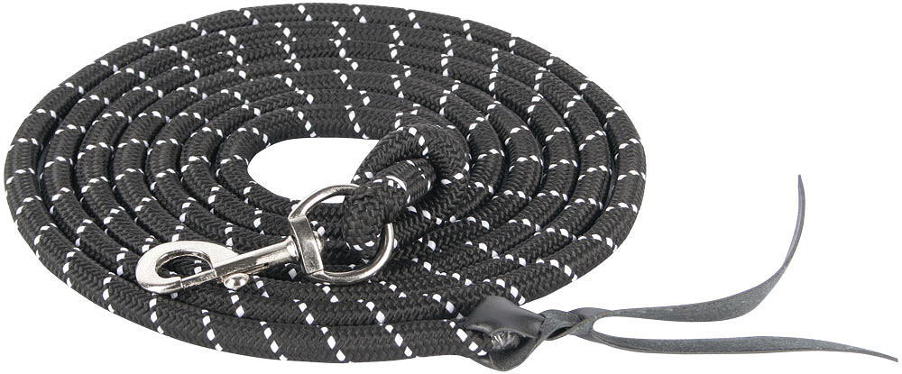 Longe Mousqueton Argent 4m