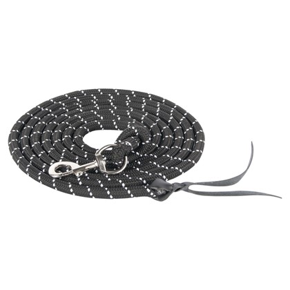 [8714813373474] Longe Mousqueton Argent 4m