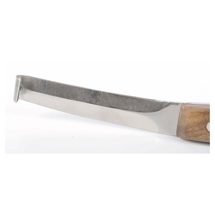 [36000602uni] Rénette, coupe des 2 côtés