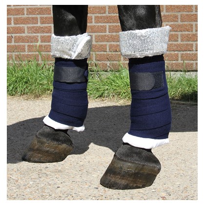 [330000424full] Sous-bandages Champion (Cheval)