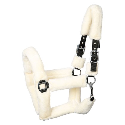 [31000005full] Licol Teddy (Cheval)