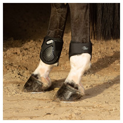 [332000235full] Fetlock boots Breathe (Cheval)