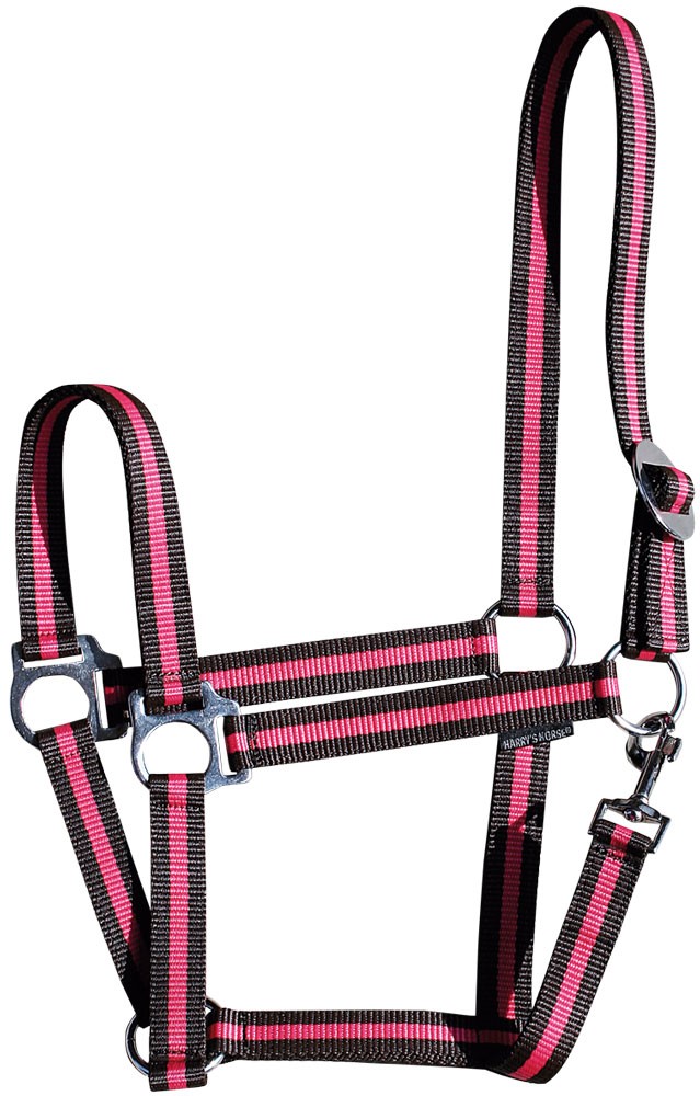 [3100092513full] Licol Economy (Bleu/Rose, Cheval)