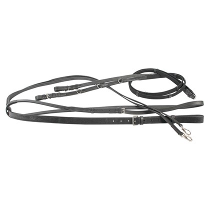 [284000805full] Thiedemann enrenement (Cheval)