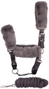 Licol et longe Jochberg WI24