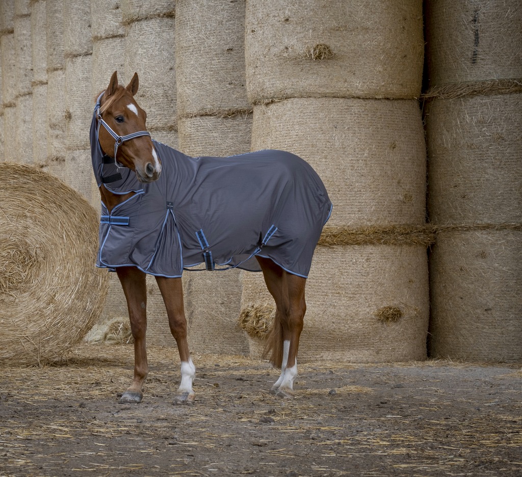 Chemise EQUITHÈME "Cool Dry" Combo (5'6/120cm)