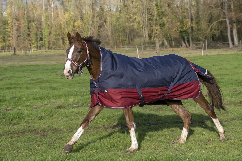 Couverture EQUITHÈME "TYREX 1200 D", 300g, High Neck (5'9/125cm)