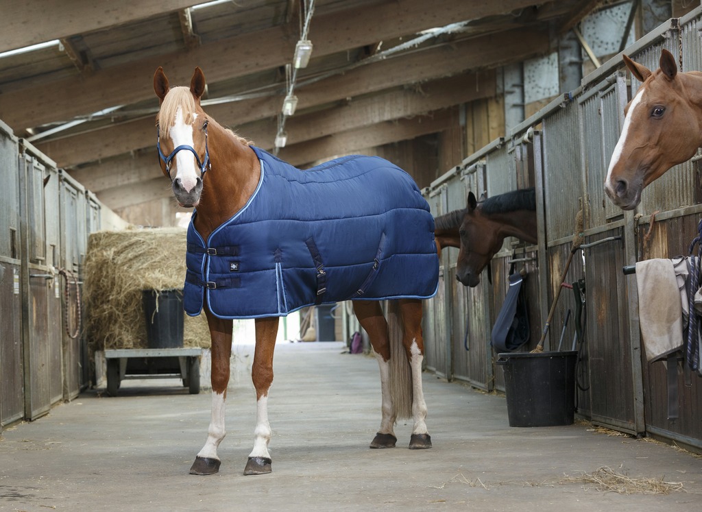 Couverture d'écurie RIDING WORLD (4'/80cm)